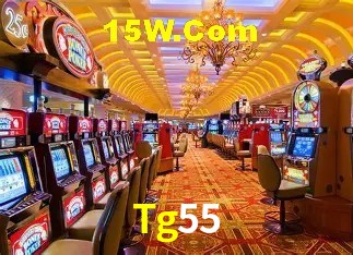 Experimente o Login Seguro Premium no Tg55